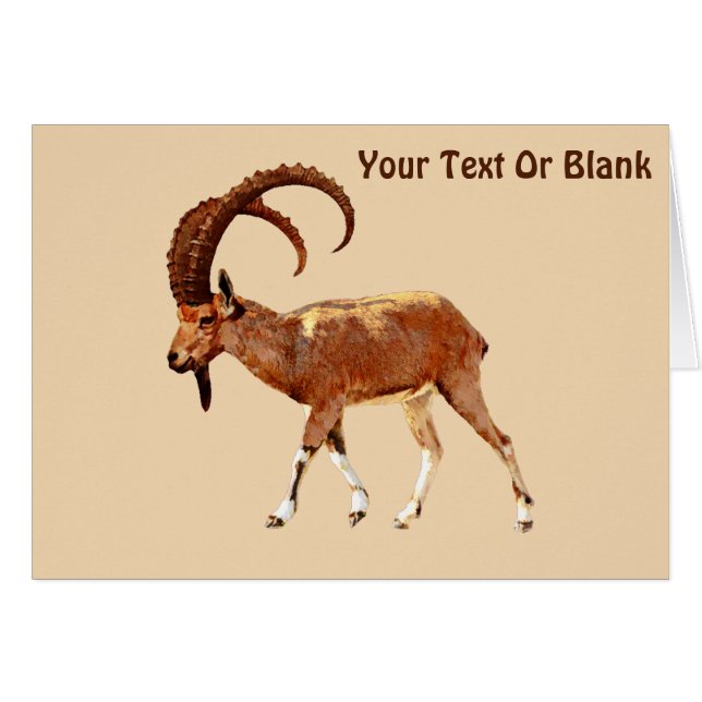 Nubian Ibex - Ein Gedi (Voorkant Horizontaal)