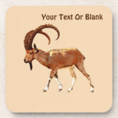 Nubian Ibex - Ein Gedi Bier Onderzetter (Voorkant)