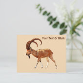 Nubian Ibex - Ein Gedi Briefkaart (Staand voorkant)