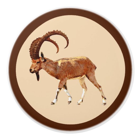 Nubian Ibex - Ein Gedi Keramische Knop (Voorkant)