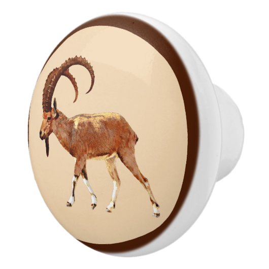 Nubian Ibex - Ein Gedi Keramische Knop (Rechts)