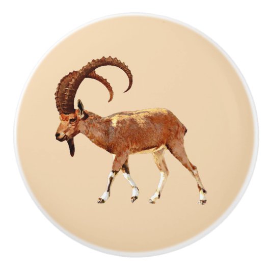 Nubian Ibex - Ein Gedi Keramische Knop (Voorkant)