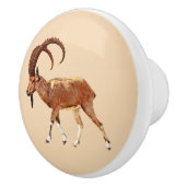 Nubian Ibex - Ein Gedi Keramische Knop (Rechts)