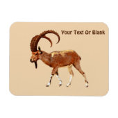 Nubian Ibex - Ein Gedi Magneet (Horizontaal)