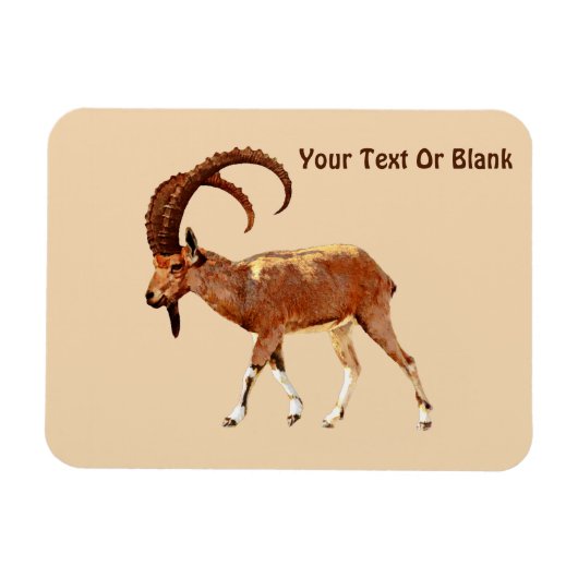 Nubian Ibex - Ein Gedi Magneet (Horizontaal)