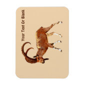 Nubian Ibex - Ein Gedi Magneet (Verticaal)