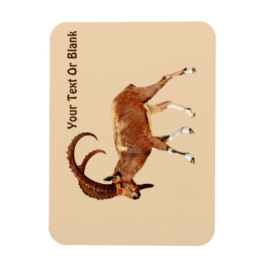 Nubian Ibex - Ein Gedi Magneet (Verticaal)