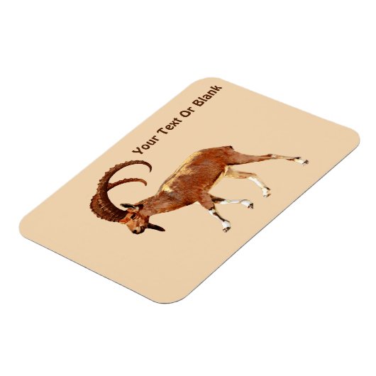 Nubian Ibex - Ein Gedi Magneet (Linkerzijde)