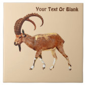 Nubian Ibex - Ein Gedi Tegeltje (Voorkant)