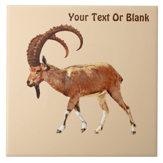 Nubian Ibex - Ein Gedi Tegeltje (Voorkant)