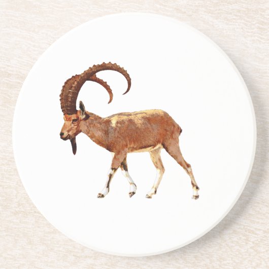 Nubian Ibex - Ein Gedi Zandsteen Onderzetter (Voorkant)