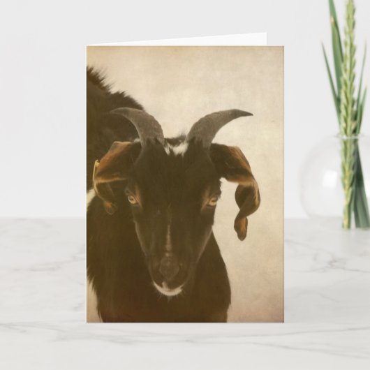 Nubian Kaart (Voorkant)