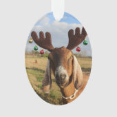 Nubian Reindeer Xmas Ornament (voorkant)
