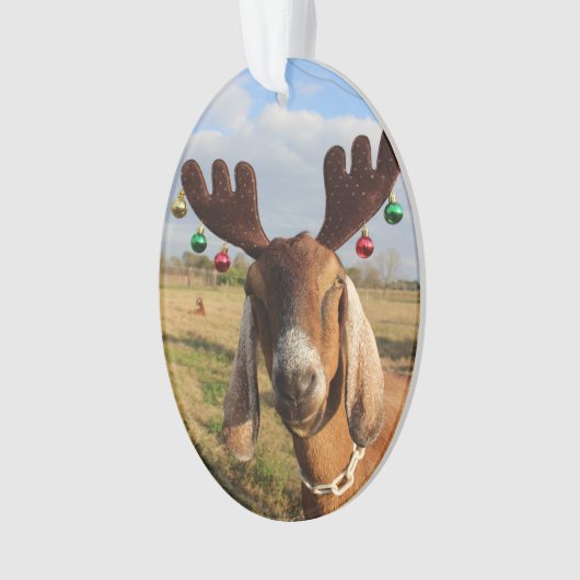 Nubian Reindeer Xmas Ornament (voorkant)