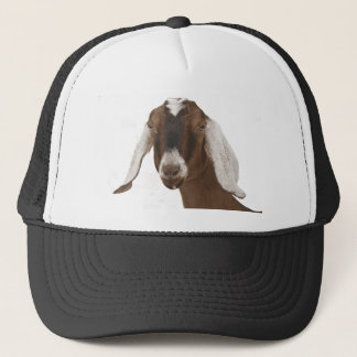 Nubian Trucker Pet