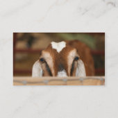 Nubische doe over houten rail visitekaartje (Achterkant)