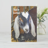  Nubische Geit Foto Verjaardag Kaart (Staand voorkant)