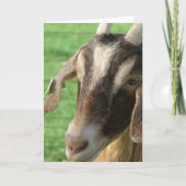 Nubische geit kaart (Voorkant)