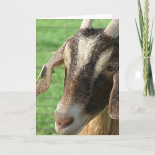 Nubische geit kaart (Voorkant)