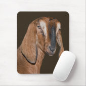 Nubische Geit Muismat (Met muis)