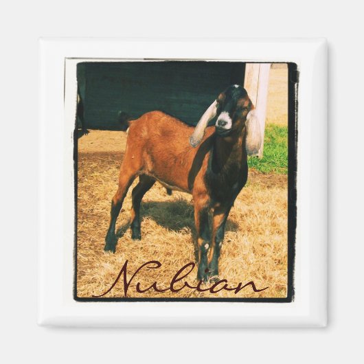 Nubische magneet - Vierkant (Voorkant)