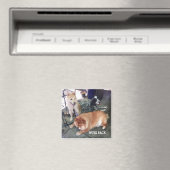 NUBZ NATION magneet. Vierkant Magneet (Insitu (Vaatwasser))