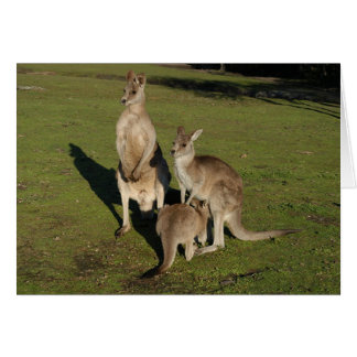 Nucleaire "Roos"