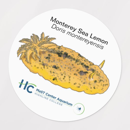 Nudi Stickers #2 (Design 1)