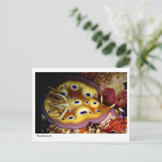 Nudibranch Briefkaart (Staand voorkant)
