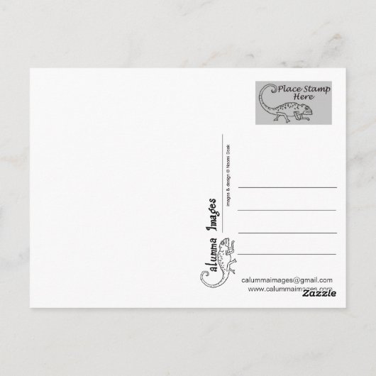 Nudibranch Briefkaart (Achterkant)