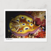 Nudibranch Briefkaart (Voorkant)