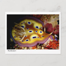 Nudibranch Briefkaart