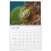 Nudibranch Calendar Kalender (Mar 2027)