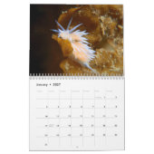 Nudibranch Calendar Kalender (Jan 2027)