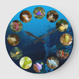 Nudibranch Clock Grote Klok