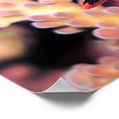 Nudibranch die neer gaat poster (Hoek)