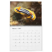 Nudibranchiën Kalender van het Jaar (Feb 2027)