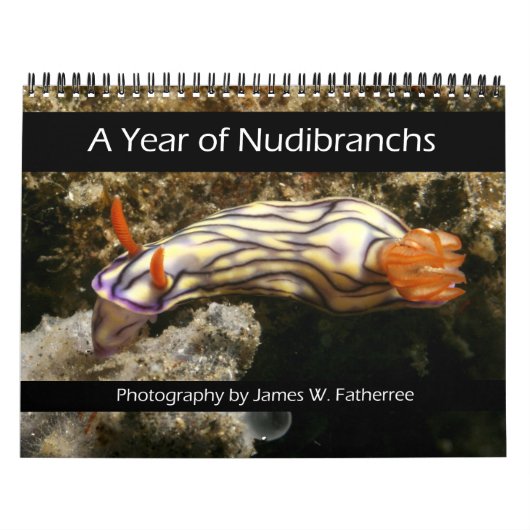 Nudibranchiën Kalender van het Jaar (Hoes)
