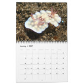 Nudibranchiën Kalender van het Jaar (Jan 2027)