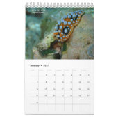 Nudibranchs in Siquijor: Desktop Calendar Kalender (Feb 2027)