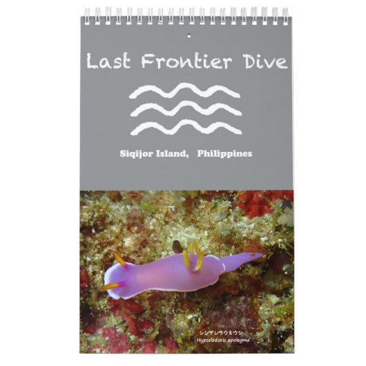 Nudibranchs in Siquijor: Desktop Calendar Kalender (Hoes)
