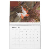 Nudibranchs of California Calendar Kalender (Feb 2027)
