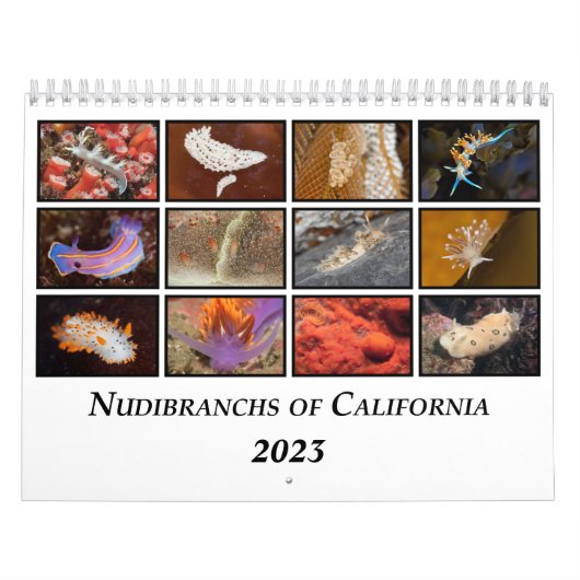 Nudibranchs of California Calendar Kalender (Hoes)
