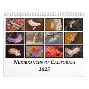 Nudibranchs of California Calendar Kalender