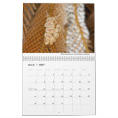 Nudibranchs of California Calendar Kalender (Mar 2027)