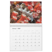 Nudibranchs of California Calendar Kalender (Jan 2027)