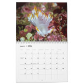 Nudibranchs & Zee Slugs Kalender (Mar 2026)
