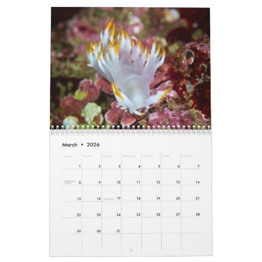Nudibranchs & Zee Slugs Kalender (Mar 2026)