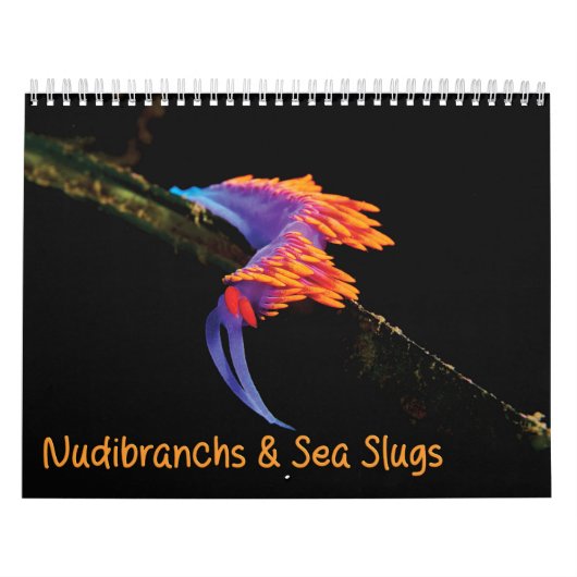 Nudibranchs & Zee Slugs Kalender (Hoes)