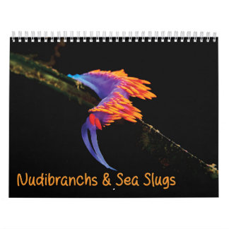 Nudibranchs & Zee Slugs Kalender